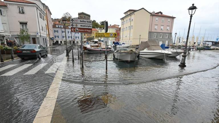 V Miljah zaprli za promet Mandrač, v Barkovljah miramarski drevored (VIDEO)