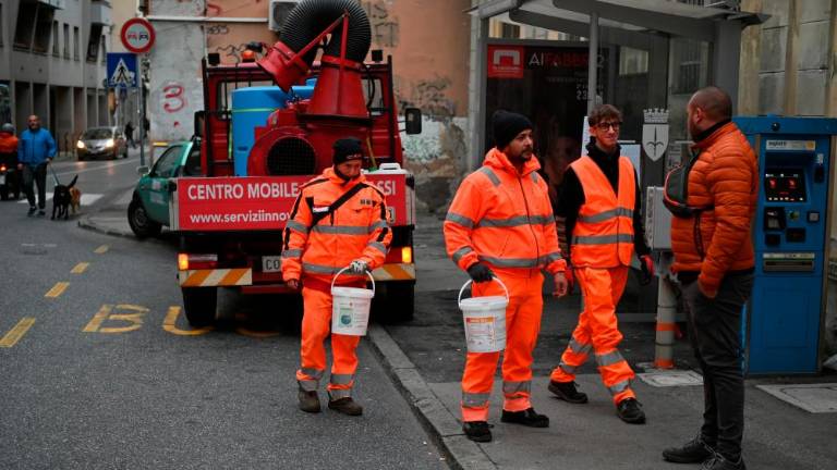 Začeli z dezinsekcijo