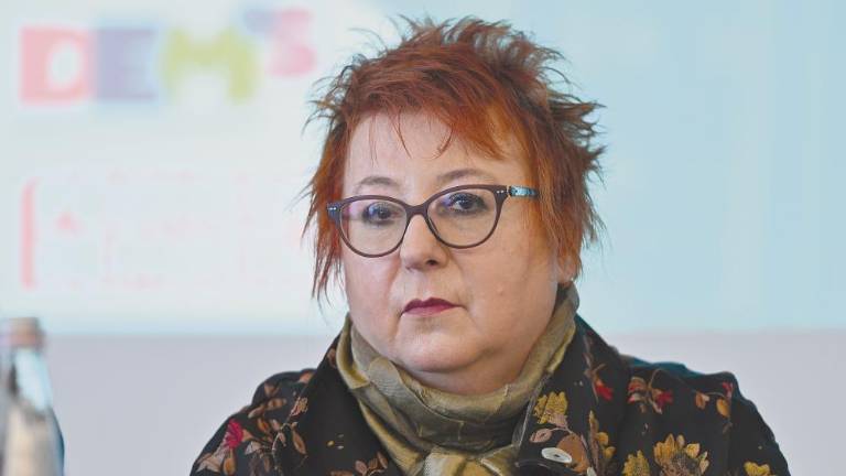 Rojc: SSk v deželnem svetu zahvaljujoč se DS