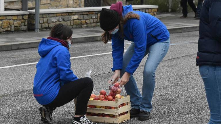 V Boljuncu letela jabolka
