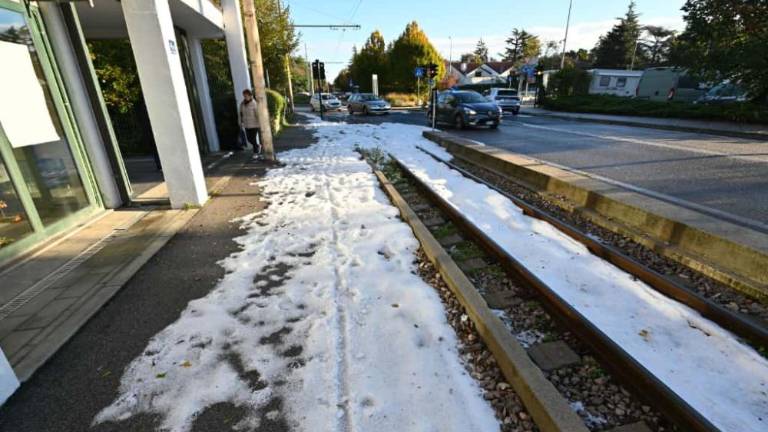 Bela odeja prekrila Tržaško