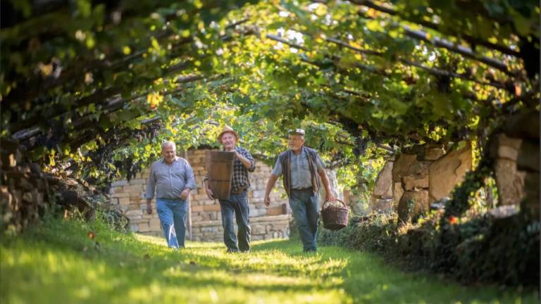 V register nesnovne kulturne dediščine vpisana agrarne skupnosti in vinogradništvo