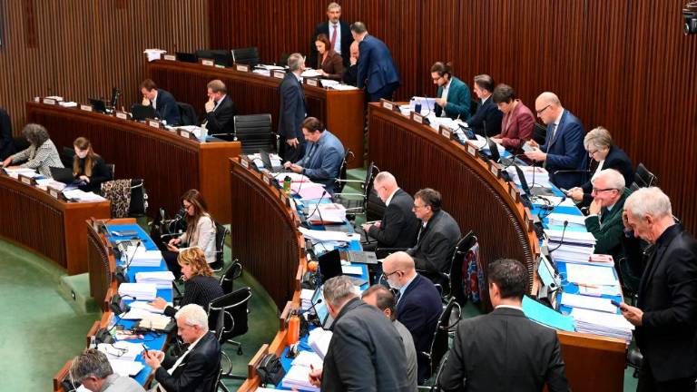 Za nekatere organizacije slovenske narodne skupnosti tudi deželna sredstva