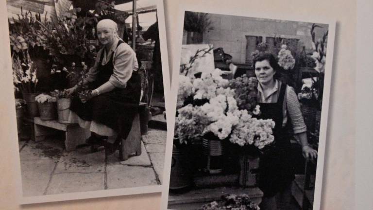 Do petka na ogled razstava o rožnarcah