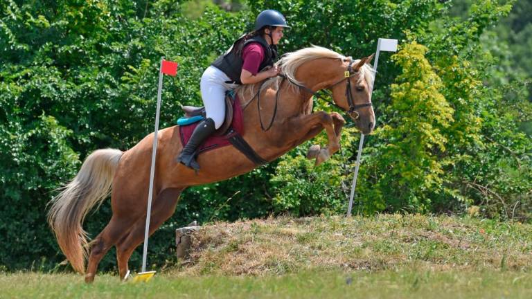 Jahači in njihovi konji močnejši od burje in dežja