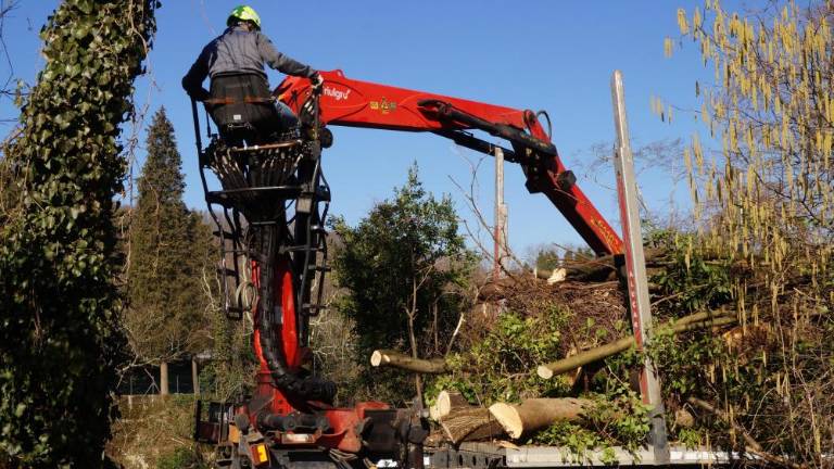 Čiščenje zaraslih brežin uvaja v obnovo pevmskega mostu