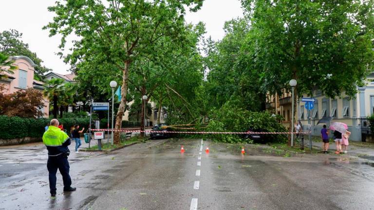 Na Goriškem pustošilo neurje (foto)