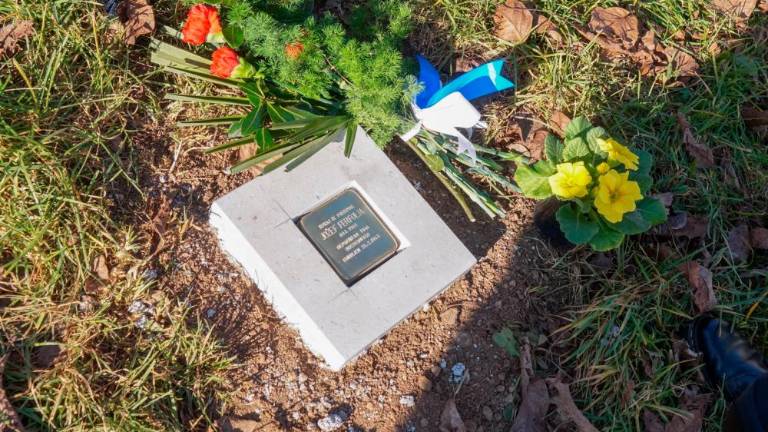 Prva tlakovca spomina v Rupi in v Sovodnjah