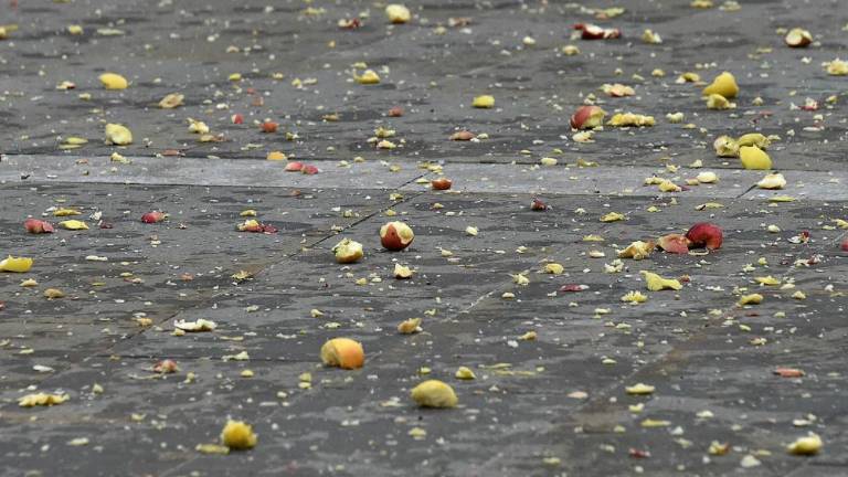 V Boljuncu letela jabolka