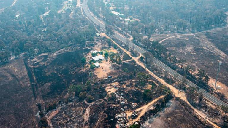 V požarih poginilo 480 milijonov divjih živali