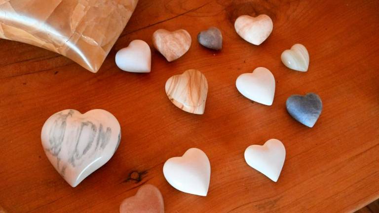 Obisk pri Robinu Soaveju