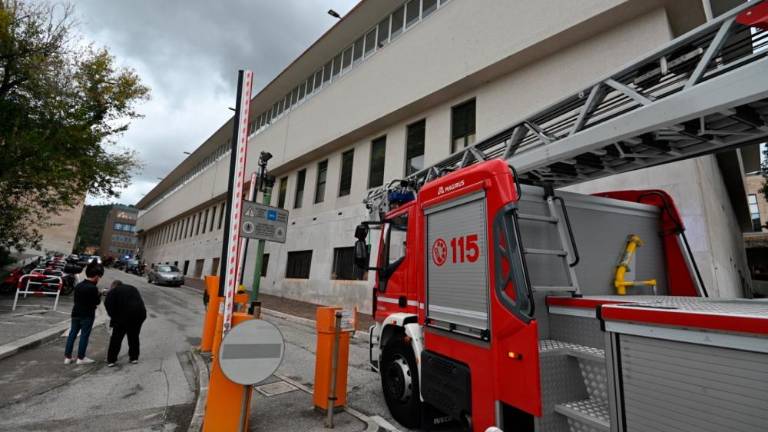 Zagorelo na tržaški univerzi