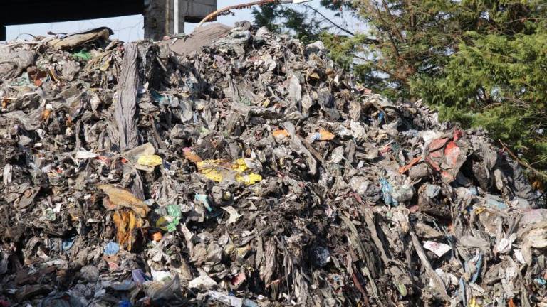 Ekomafija širi svoje lovke