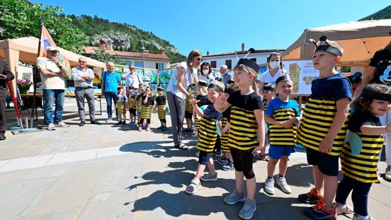 Dan čebel v dolinski občini