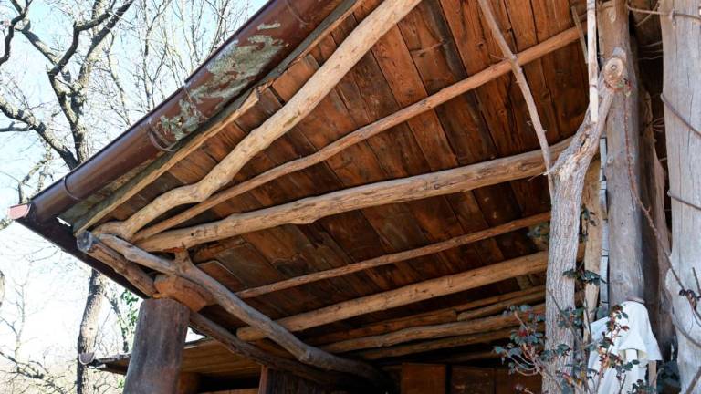 Obisk pri Robinu Soaveju