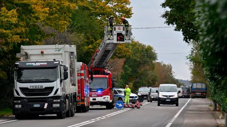 Tovornjak za odvoz smeti podrl (strohnelo) drevo