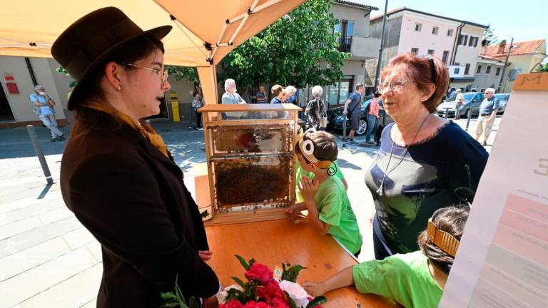 Dan čebel v dolinski občini