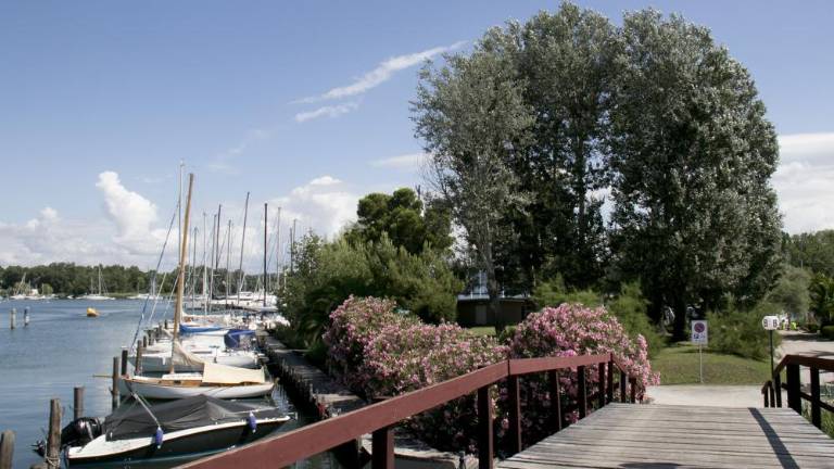 Podjetje Red Bull z naložbami za večjo privlačnost marine Hannibal