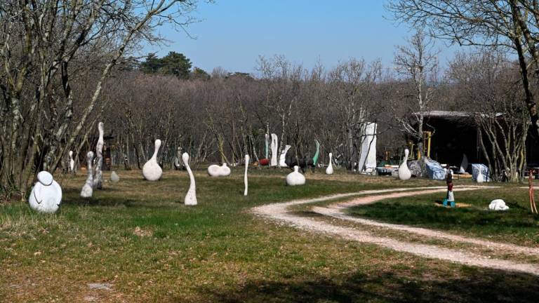 Obisk pri Robinu Soaveju