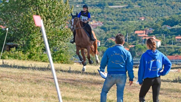 Na Dolgi kroni so spet tekmovali