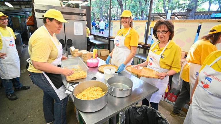 61. Praznik češenj v Mačkoljah