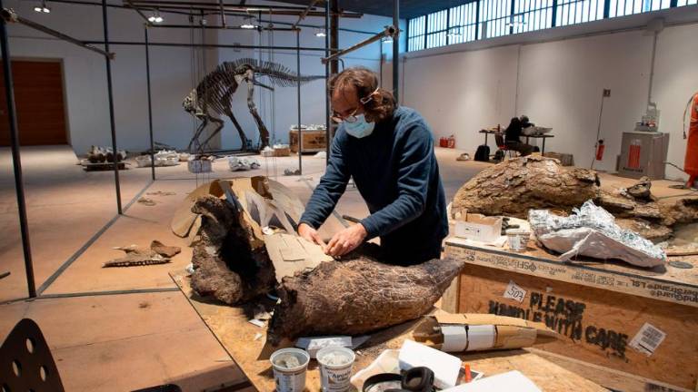 Pravi jurski park v malem