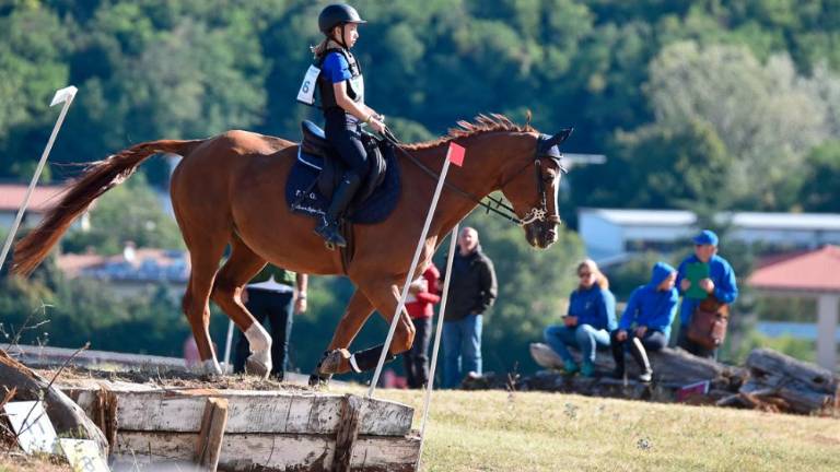 Na Dolgi kroni so spet tekmovali