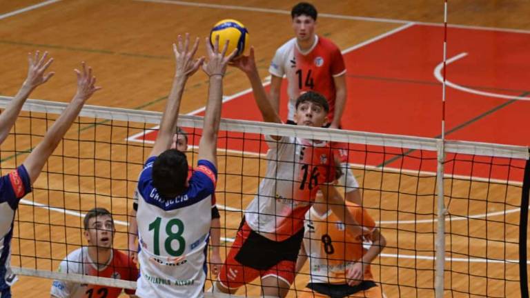 SloVolley Studio Vegliach za las poražen