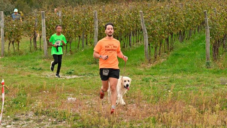 Kar 120 tekačev na 5. Teku med vinogradi