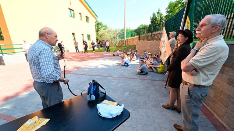 Dan čebel v dolinski občini