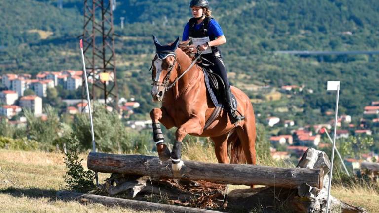 Na Dolgi kroni so spet tekmovali