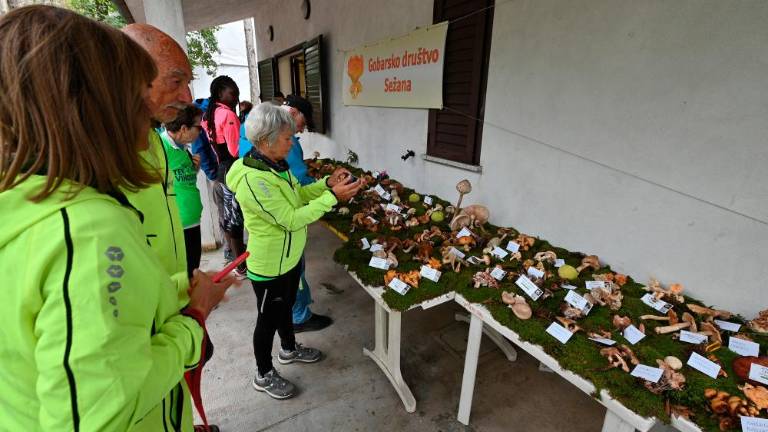 V Praprotu Kraški Oktoberfešt v polnem teku