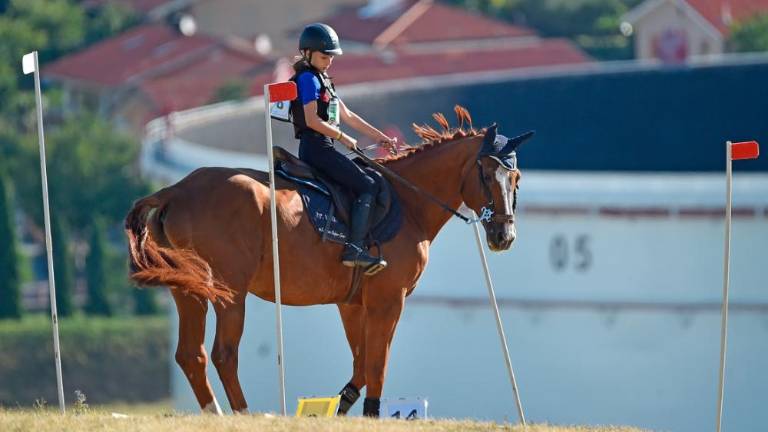 Na Dolgi kroni so spet tekmovali