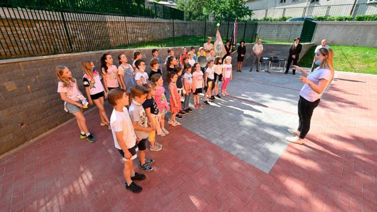 Dan čebel v dolinski občini