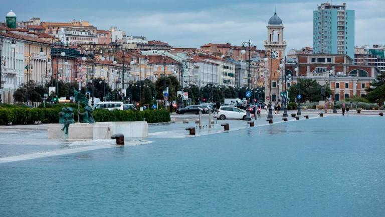 Poplave v Trstu in Miljah