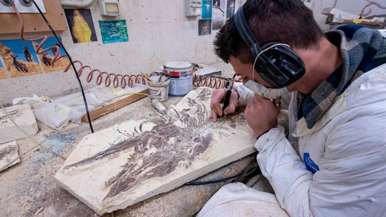 Pravi jurski park v malem