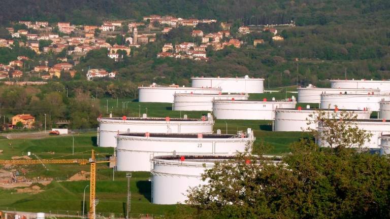 Plin in nafta še vedno potrebna, sektor naprej brez težav