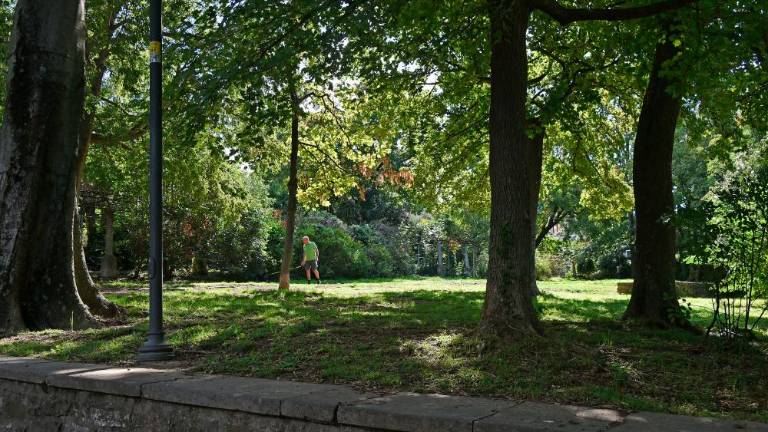 Urediti nameravajo več pasjih parkov