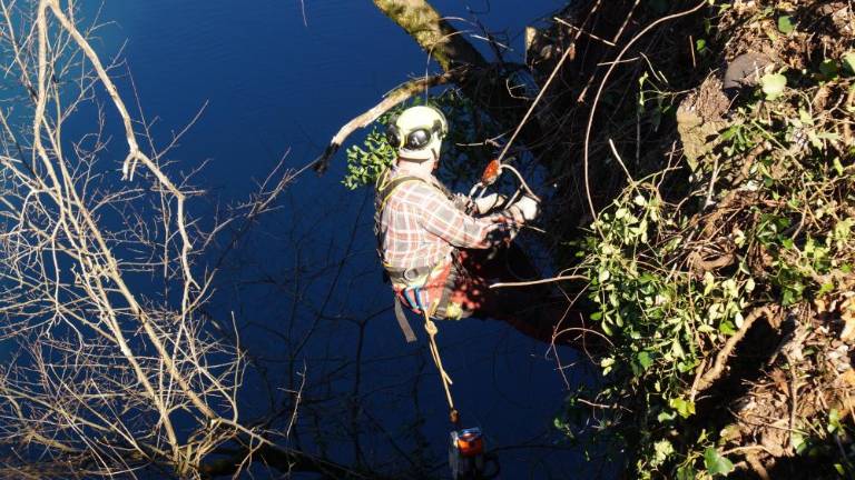 Čiščenje zaraslih brežin uvaja v obnovo pevmskega mostu