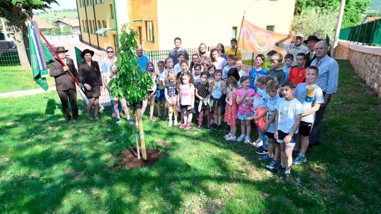 Dan čebel v dolinski občini