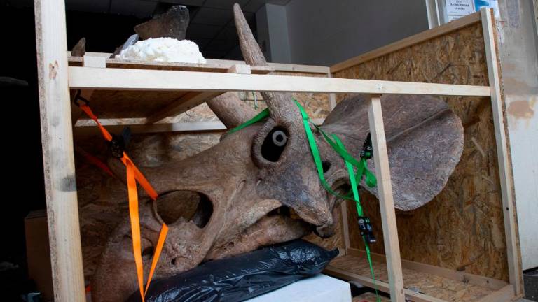 Pravi jurski park v malem