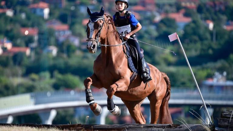 Na Dolgi kroni so spet tekmovali