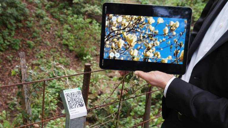 Po obnovi vrta še nove pešpoti in namakalni sistem