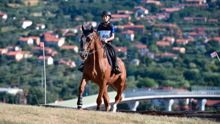 Na Dolgi kroni so spet tekmovali