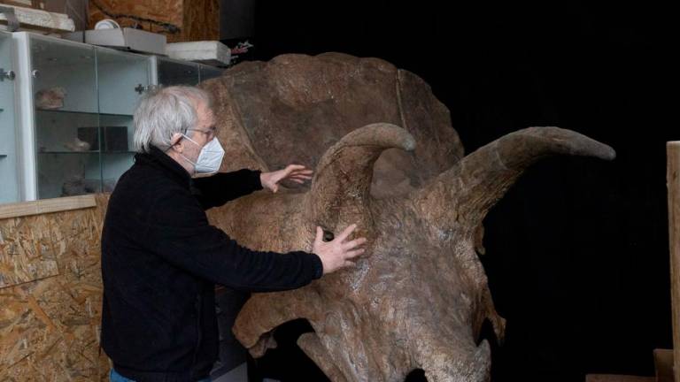 Pravi jurski park v malem