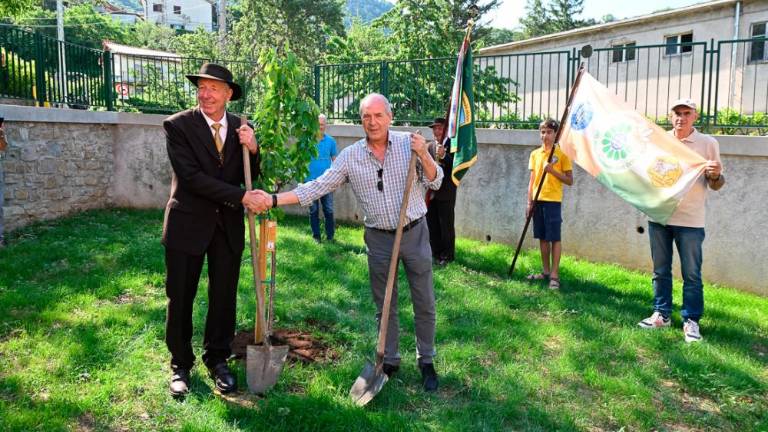 Dan čebel v dolinski občini