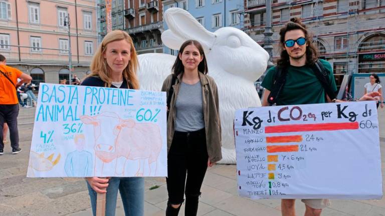 Petki za prihodnost v Trstu