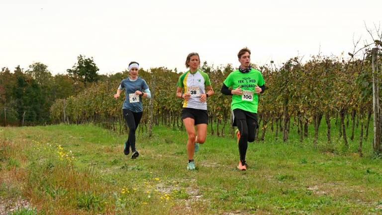 Kar 120 tekačev na 5. Teku med vinogradi