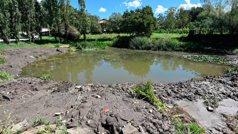 Mlaki nameravajo povrniti nekdanji čar