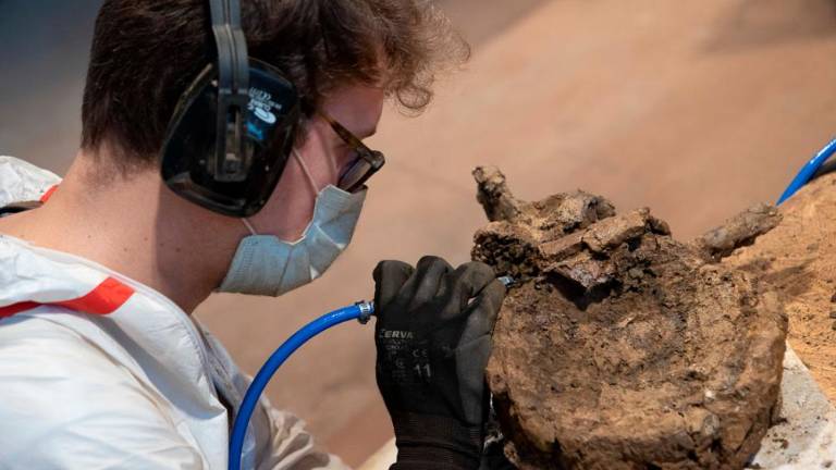 Pravi jurski park v malem